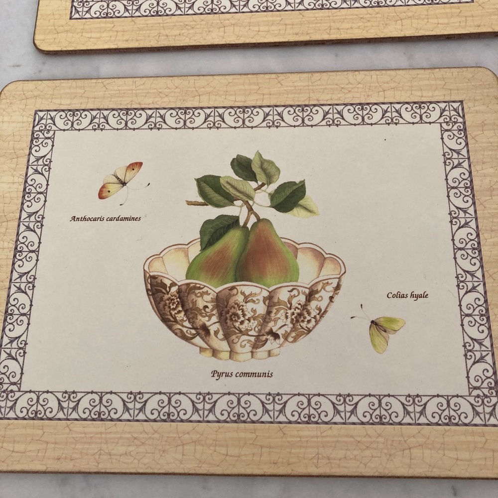 Wedgwood Hard Placemats